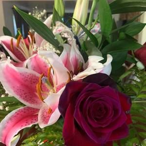 Meet your Posher, Alberta